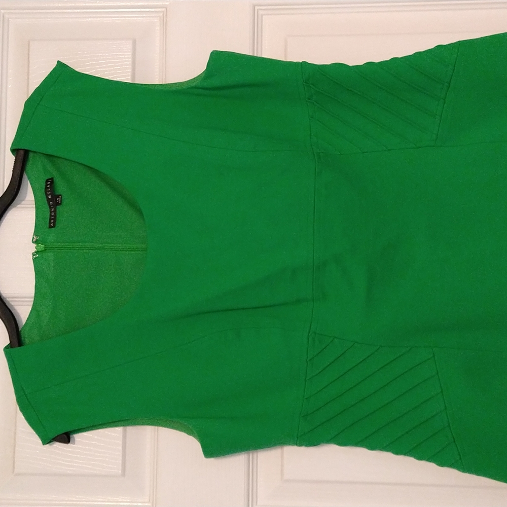 Antonio Melani green dress size 14